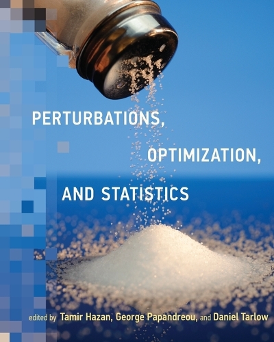 Perturbations, Optimization, and Statistics.