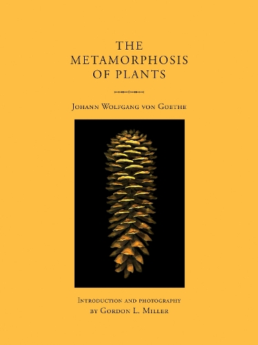 The Metamorphosis of Plants.