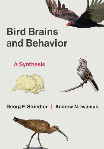 Bird Brains and Behavior: A Synthesis.