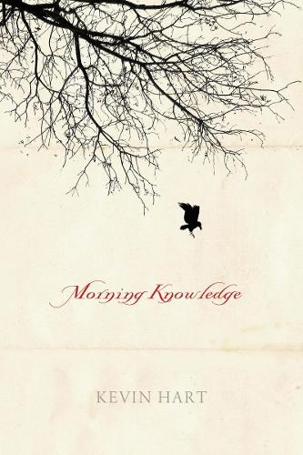 Morning Knowledge.