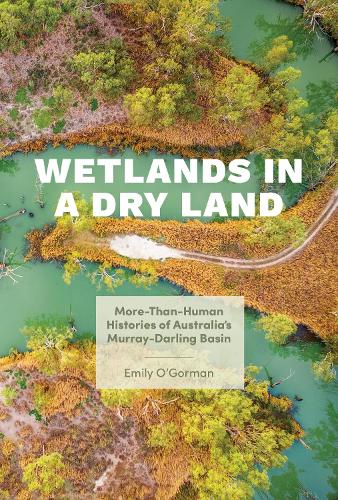 Wetlands in a Dry Land