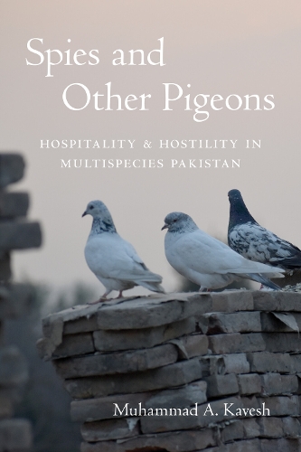 Spies and Other Pigeons