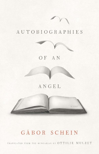 Autobiographies of an Angel: A Novel.