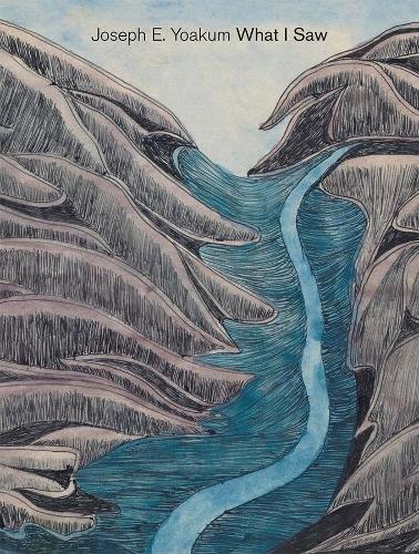 Joseph E. Yoakum: What I Saw.