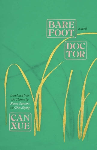 Barefoot Doctor: A Novel.