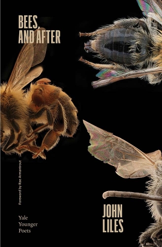 Bees, and After.