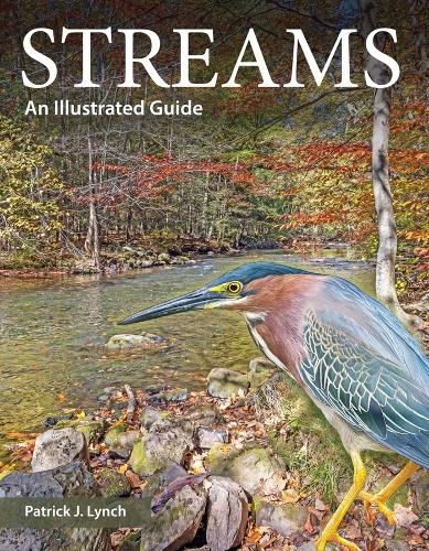 Streams: An Illustrated Guide.