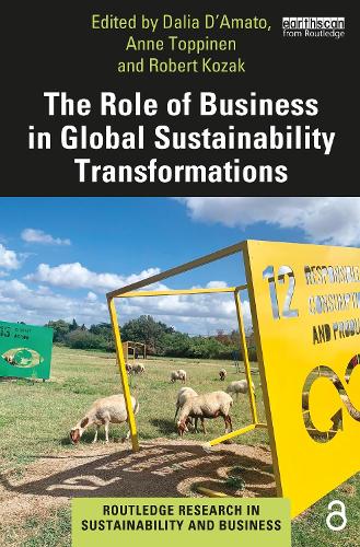 The Role of Business in Global Sustainability Transformations.