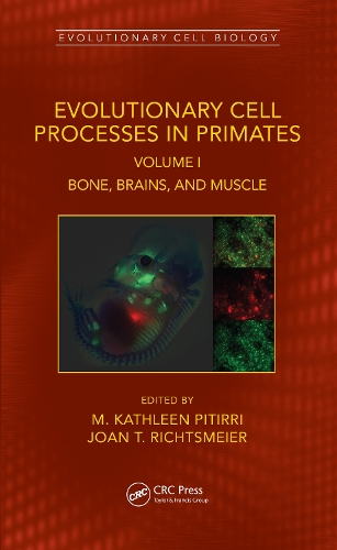 Evolutionary Cell Processes in Primates: Bone, Brains, and Muscle, Volume I.