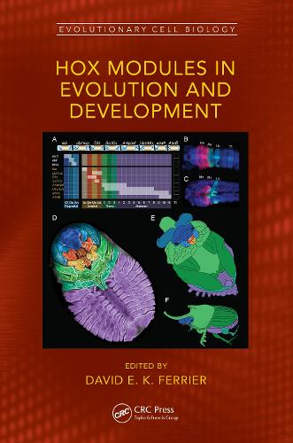 Hox Modules in Evolution and Development.