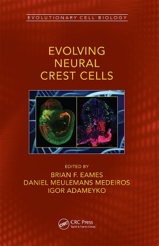 Evolving Neural Crest Cells.