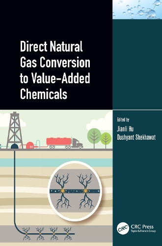 Direct Natural Gas Conversion to Value-Added Chemicals.