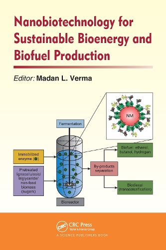 Nanobiotechnology for Sustainable Bioenergy and Biofuel Production.