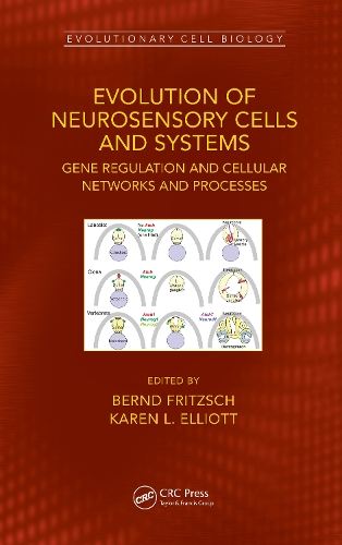 Evolution of Neurosensory Cells and Systems: Gene regulation and cellular networks and processes.