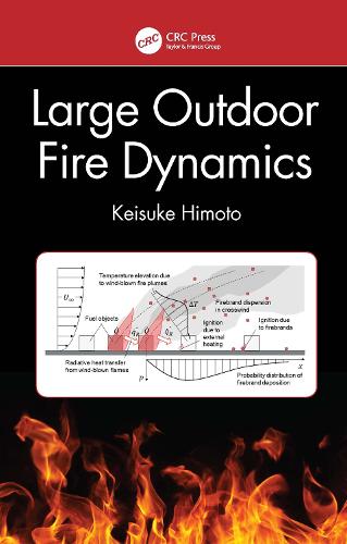 Large Outdoor Fire Dynamics.