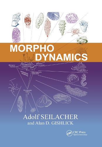 Morphodynamics.
