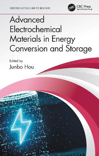 Advanced Electrochemical Materials in Energy Conversion and Storage.