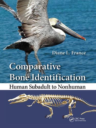 Comparative Bone Identification: Human Subadult to Nonhuman.