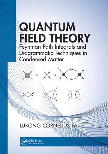 Quantum Field Theory: Feynman Path Integrals and Diagrammatic Techniques in Condensed Matter.