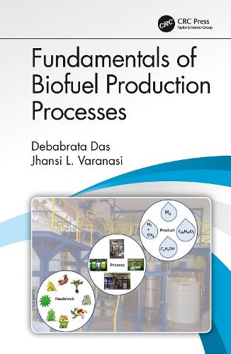 Fundamentals of Biofuel Production Processes.