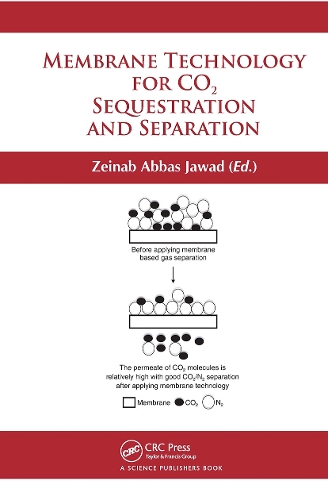 Membrane Technology for CO2 Sequestration.