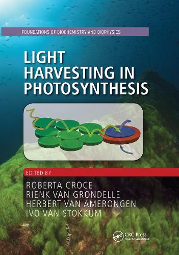 Light Harvesting in Photosynthesis.