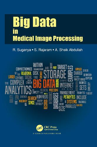 Big Data in Medical Image Processing.