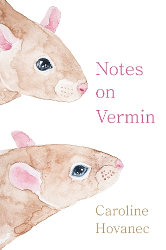 Notes on Vermin.