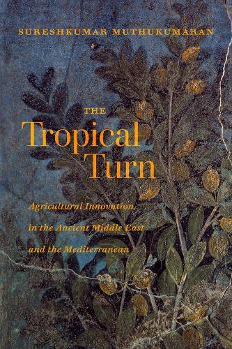 The Tropical Turn