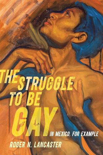 The Struggle to Be Gay - in Mexico, for Example.