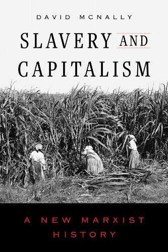 Slavery and Capitalism: A New Marxist History.