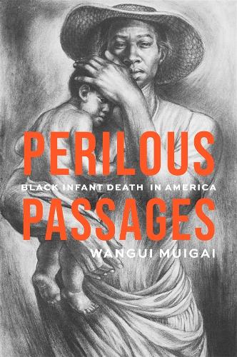 Perilous Passages: Black Infant Death in America.