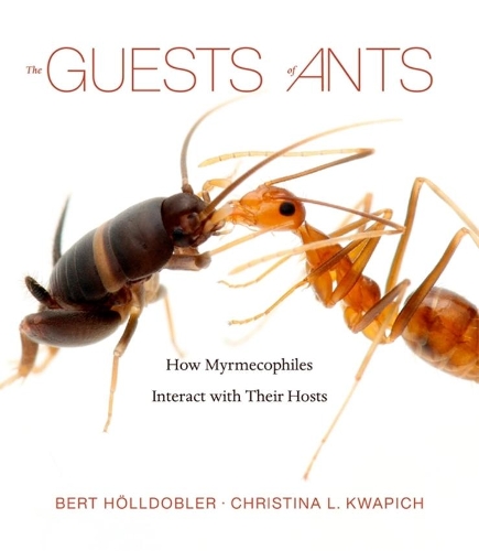 The Guests of Ants: How Myrmecophiles Interact with Their Hosts.