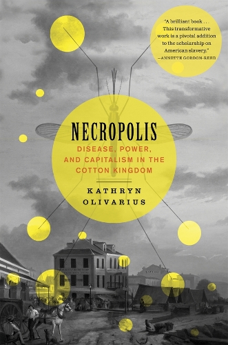 Necropolis: Disease, Power, and Capitalism in the Cotton Kingdom.