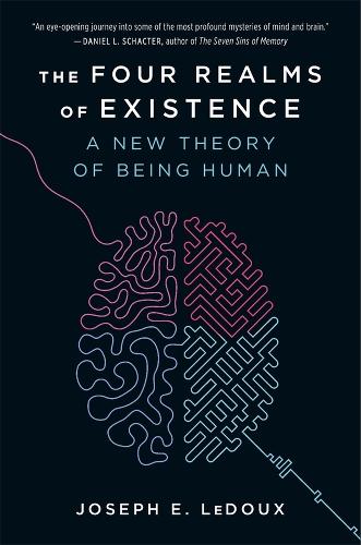 The Four Realms of Existence: A New Theory of Being Human.