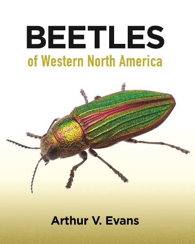 Beetles of Western North America.