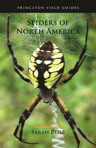 Spiders of North America.