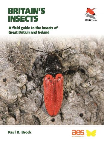 Britain's Insects: A Field Guide to the Insects of Great Britain and Ireland.