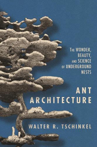 Ant Architecture: The Wonder, Beauty, and Science of Underground Nests.