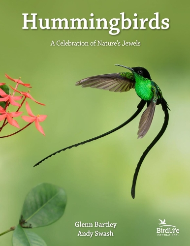Hummingbirds: A Celebration of Nature's Jewels.