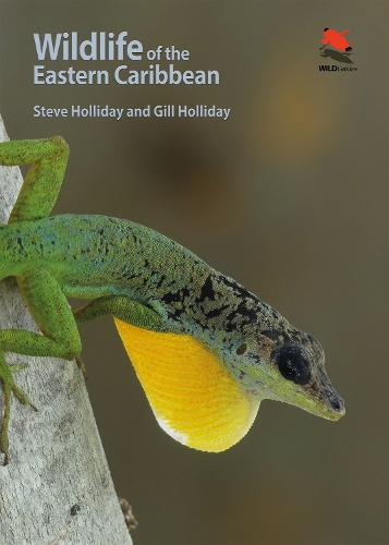 Wildlife of the Eastern Caribbean.