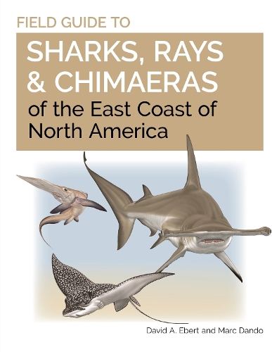 Field Guide to Sharks, Rays and Chimaeras of the East Coast of North America.