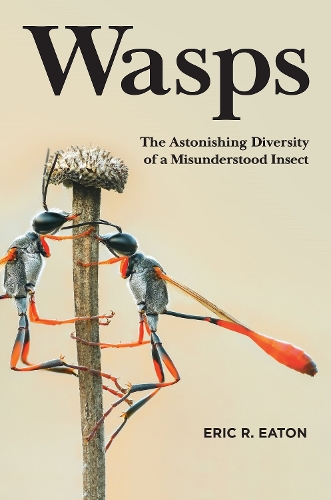 Wasps: The Astonishing Diversity of a Misunderstood Insect.