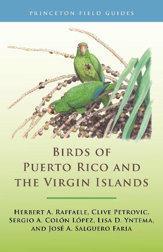 Birds of Puerto Rico and the Virgin Islands: Fully Revised and Updated Third Edition. Revised edition