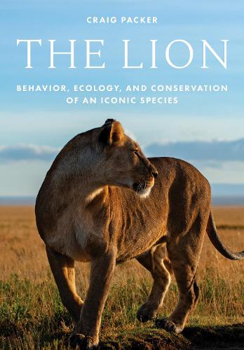 The Lion: Behavior, Ecology, and Conservation of an Iconic Species.