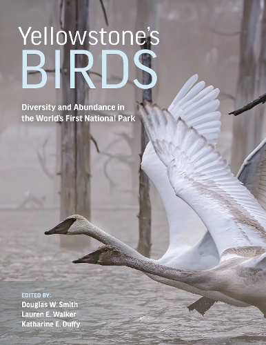 Yellowstone's Birds: Diversity and Abundance in the World's First National Park.