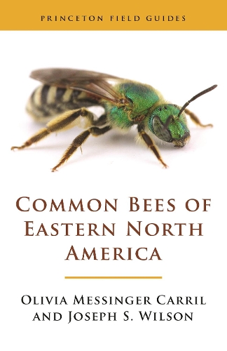 Common Bees of Eastern North America.