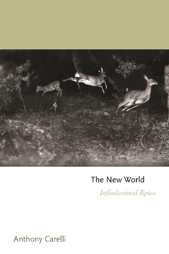 The New World: Infinitesimal Epics.