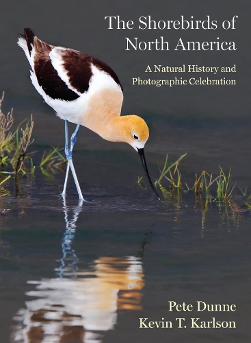The Shorebirds of North America: A Natural History and Photographic Celebration.