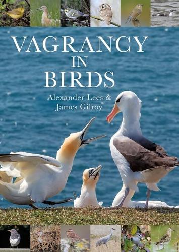Vagrancy in Birds.